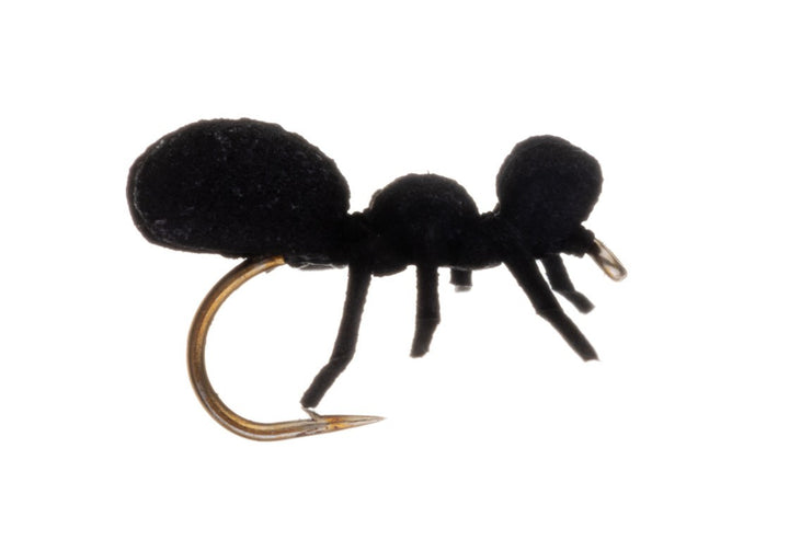 Vania | True Ant Black