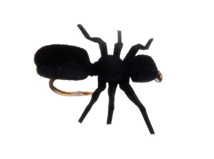 Vania | True Ant Black