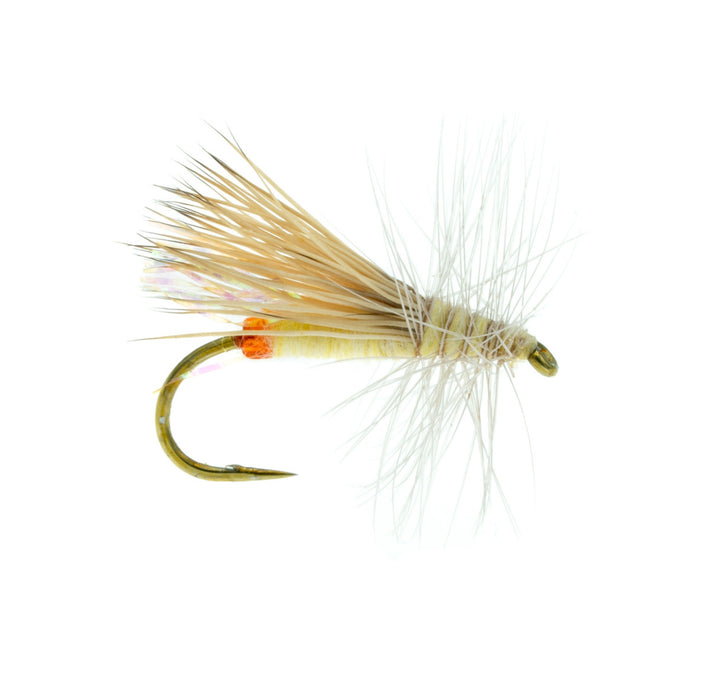 caddis sally - Fiskefluer - Flue.no