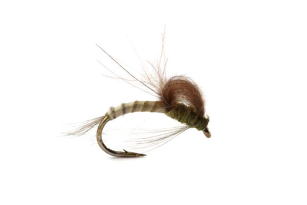 CDC Loop Wing Emerger Døgnflue