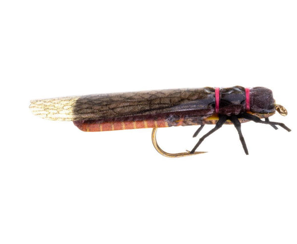 vania salmonfly - Fiskefluer - Flue.no