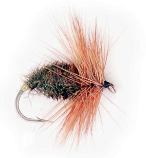Coch y Bondhu - Flue.no - Fiskefluer