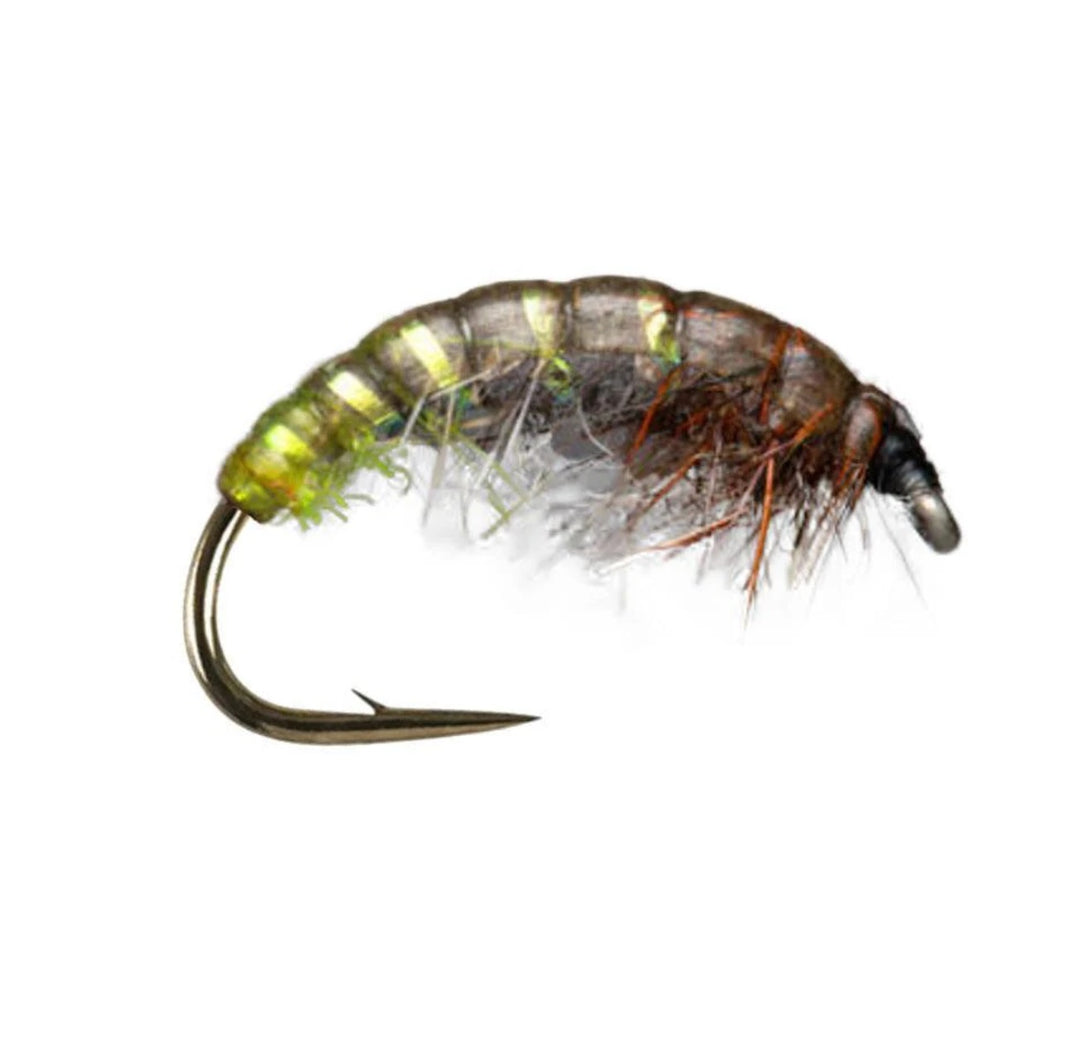 Czech Brown/Olive - Flue.no - Fiskefluer