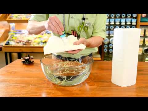 Orvis Freshwater Trout Fluesnøre | WF Flytesnøre