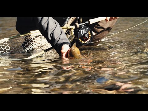 Tilt Fly Reel Fluesnelle | Redington