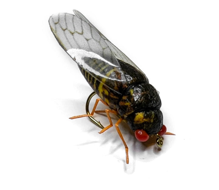 Vania | Cicada - Flue.no - Fiskefluer