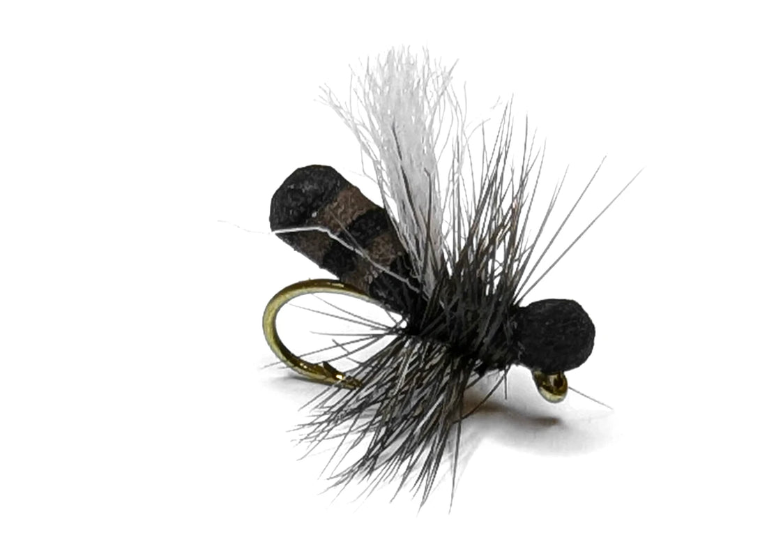 Vania | Cinnamon Ant - Flue.no - Fiskefluer