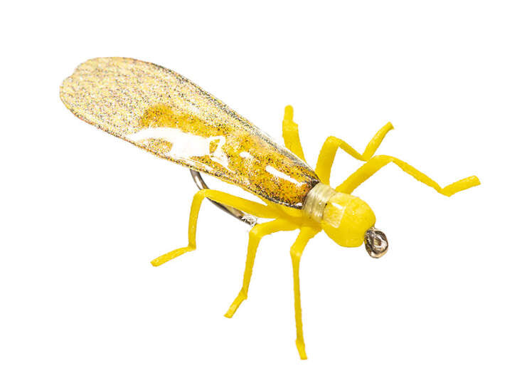 Vania | True Stone Fly Yellow