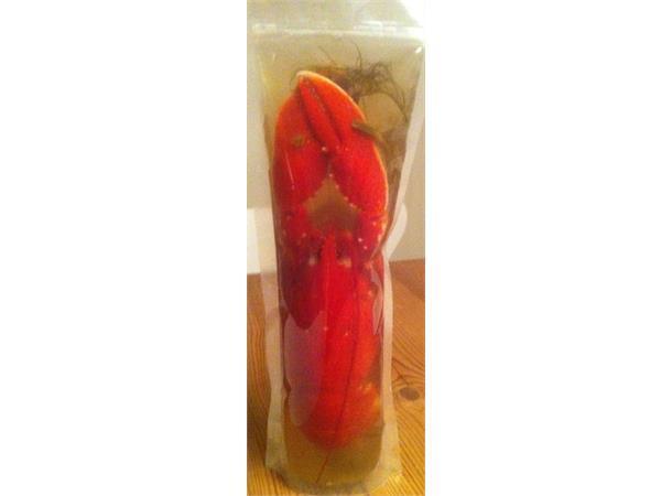 Frysepose Zip-lock for hummer og kreps 10pk 4Ltr - Flue.no - Tilbehør for vakuummaskiner