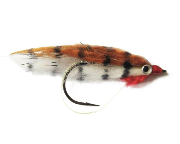 Gjeddefavoritt Striped Brown/White - Flue.no - Fiskefluer