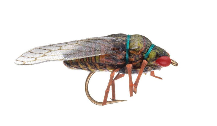 vania cicada olive - Flue.no - Fiskefluer