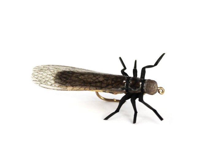 vania stone fly european - Flue.no - Fiskefluer