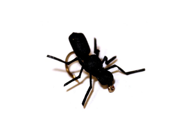 Vania | True Ant Black - Flue.no - Fiskefluer