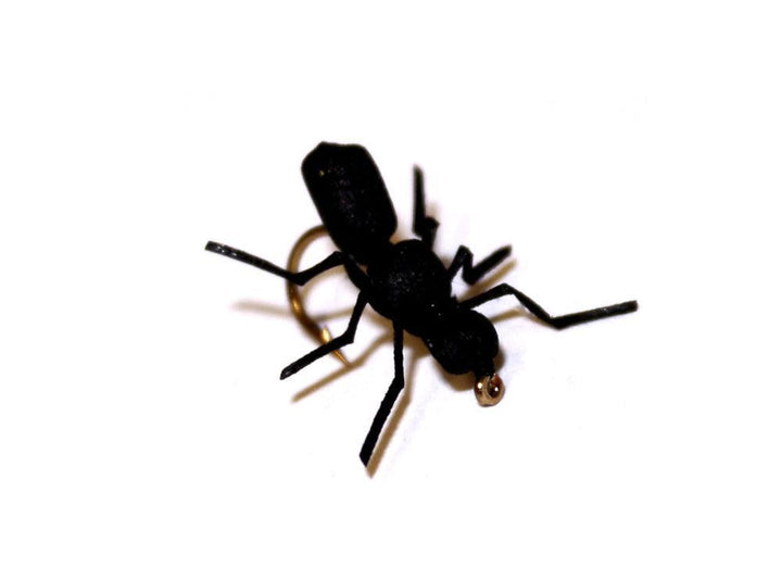 vania-true-ant-black - Flue.no - Fiskeflue