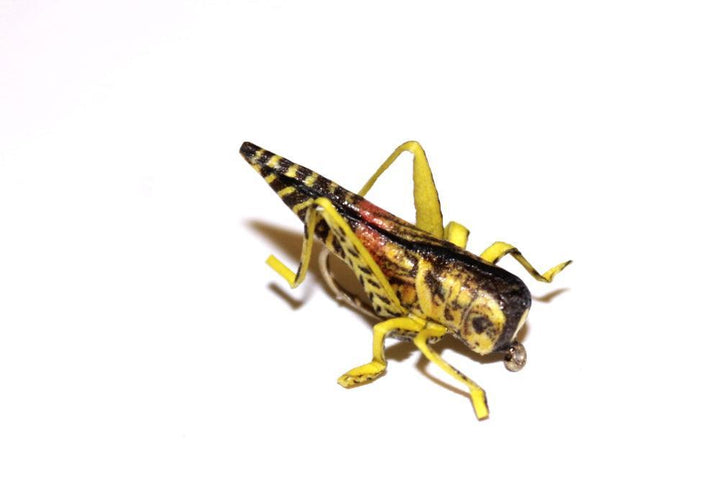 Vania | True Hopper Yellow/Brown - Flue.no - Fiskefluer