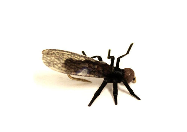 Vania | True Stone Fly Little Black - Flue.no - Fiskefluer